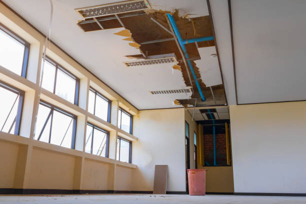 Best Water damage restoration near me  in Huntland, TN
