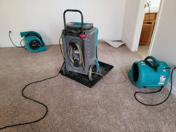 Water damage restoration insurance claims in TN