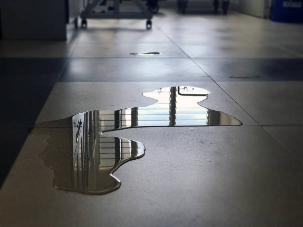 Best 24/7 water damage repair  in Huntland, TN