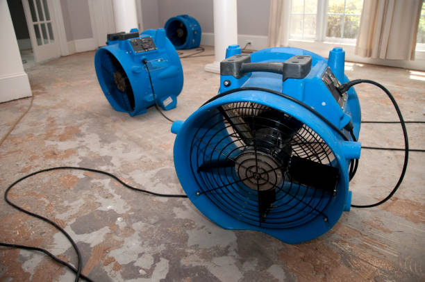 Best Water damage restoration near me  in Huntland, TN