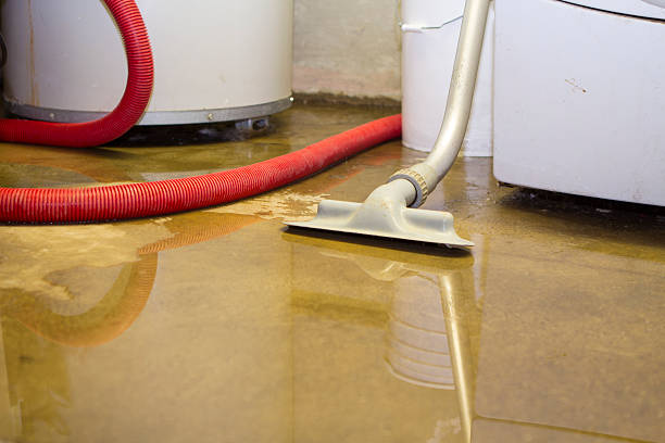 Best Flood restoration services  in Huntland, TN