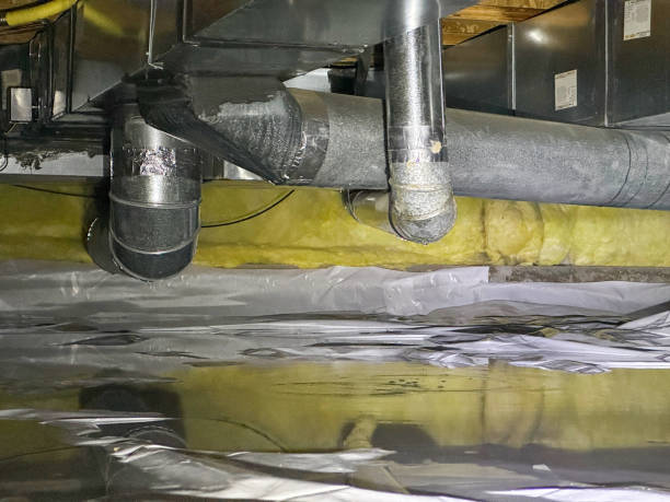 Best Water damage restoration specialists  in Huntland, TN