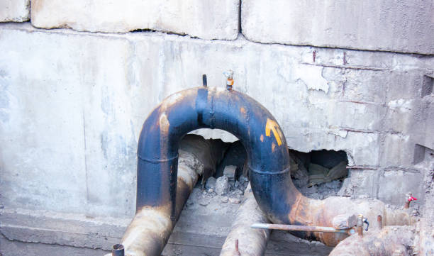 Best Flood restoration services  in Huntland, TN