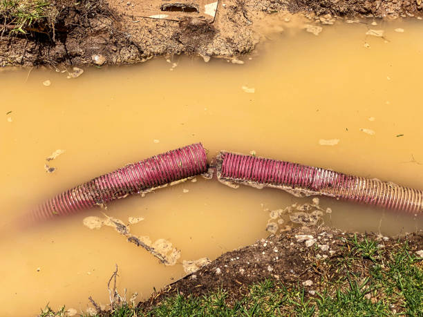 Water damage restoration process in TN