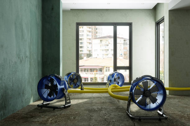 , TN Water damage restoration Company