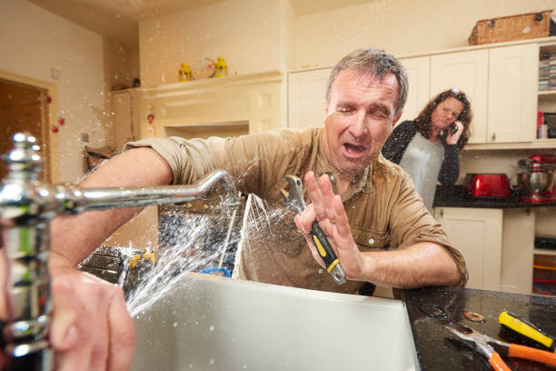 Best Basement water damage restoration  in Huntland, TN